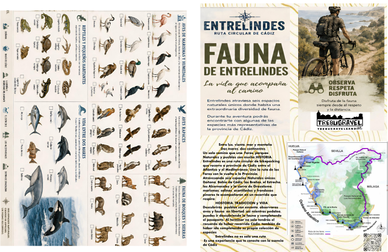 Fauna de Entrelindes